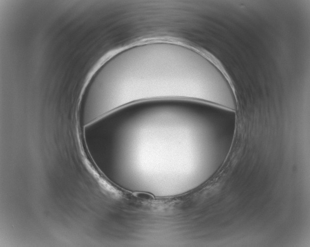 X0000080181005200612081129