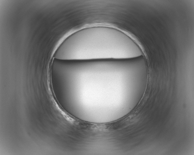 X0000080181006200612081129
