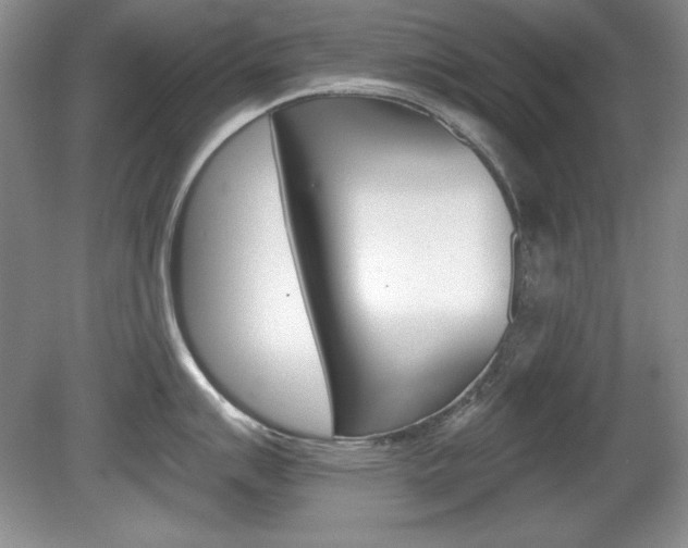 X0000080181007200612081129