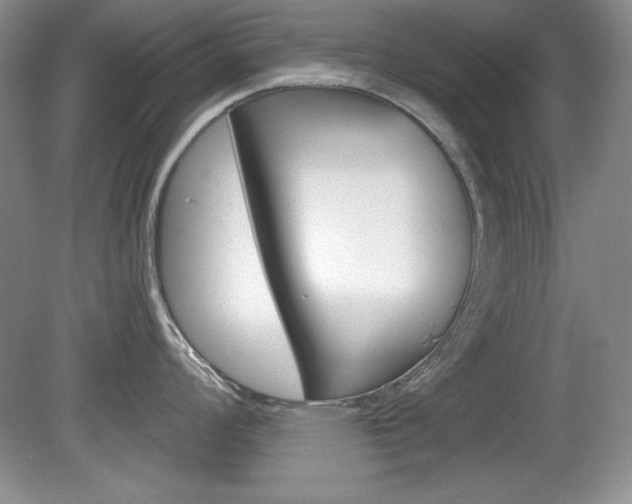X0000080181008200612081129