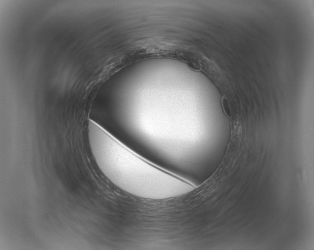 X0000080181012200612081128
