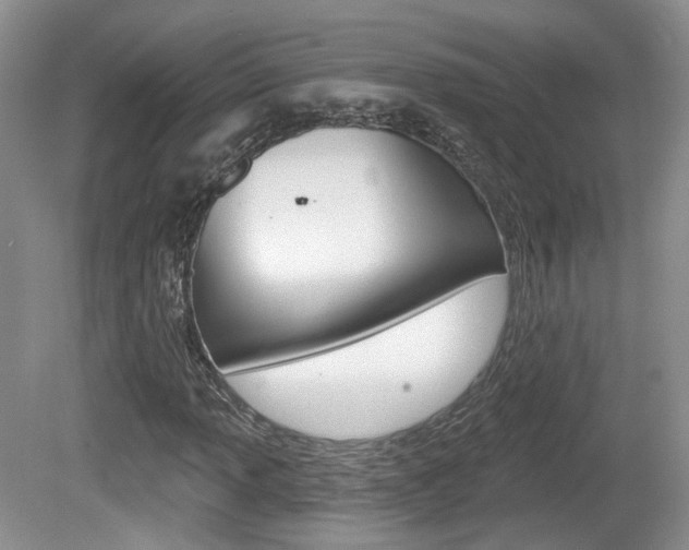 X0000080181013200612081128