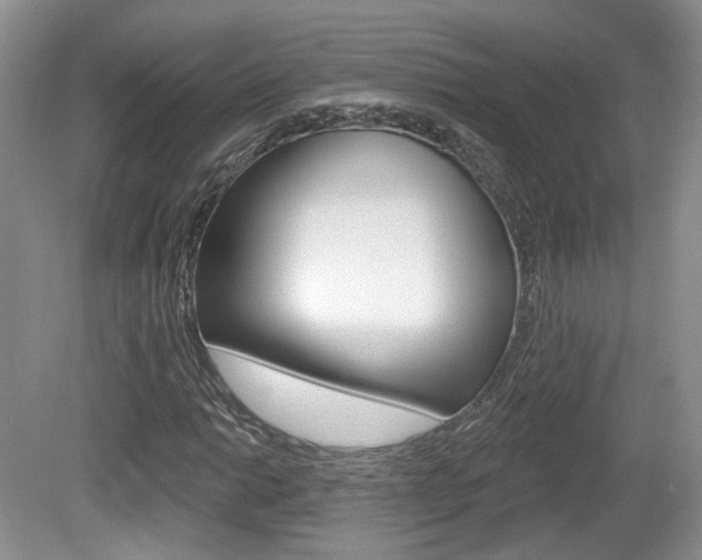 X0000080181014200612081128