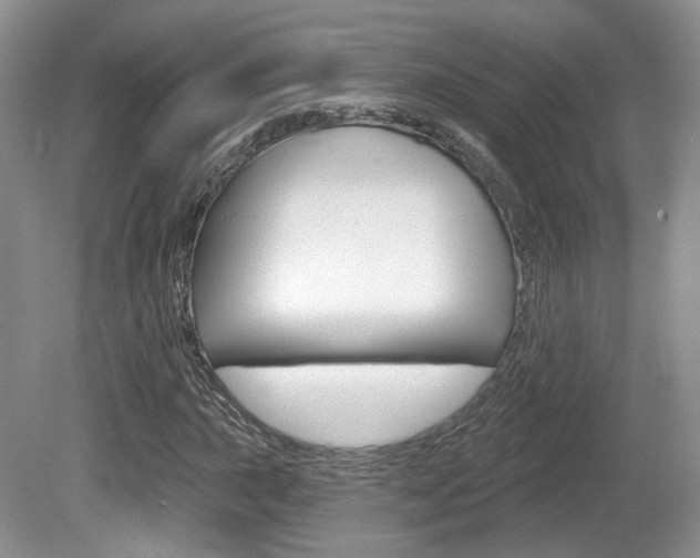 X0000080181015200612081128