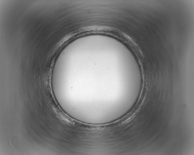 X0000080181017200612081128