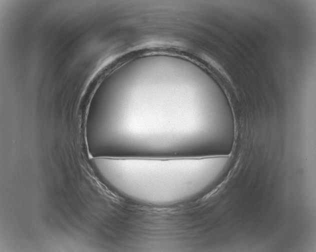 X0000080181021200612081128