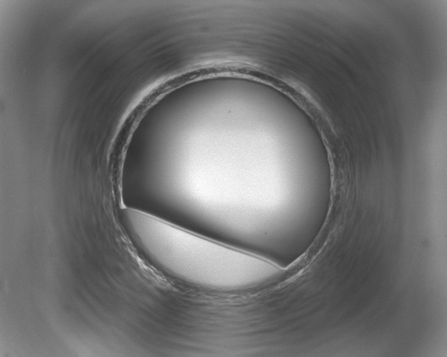 X0000080181022200612081128