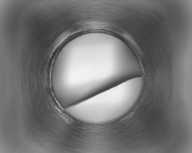 X0000080181023200612081128