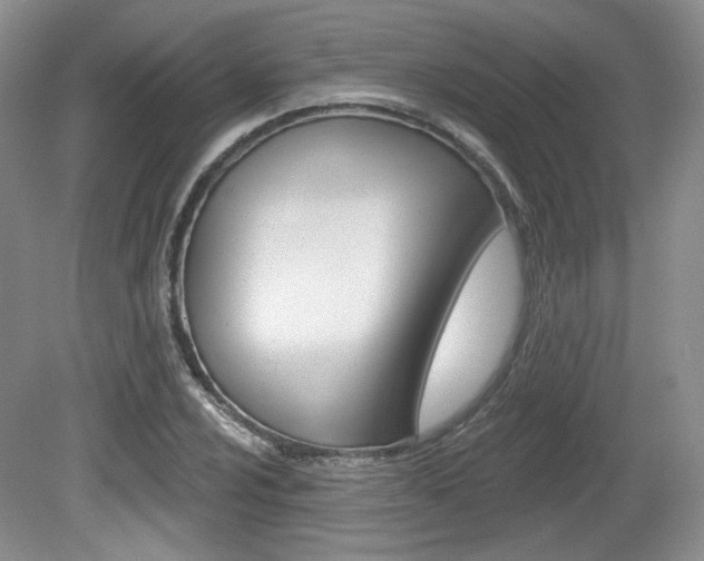 X0000080181024200612081128