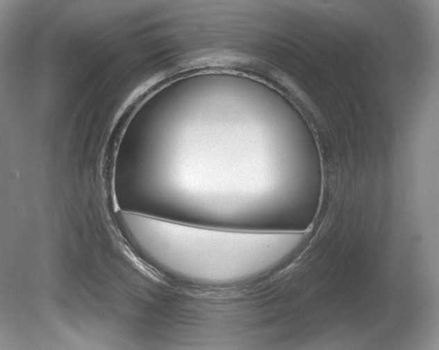 X0000080181026200612081128
