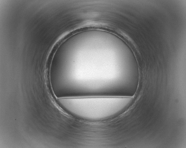 X0000080181029200612081128