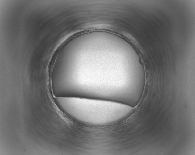 X0000080181031200612081128