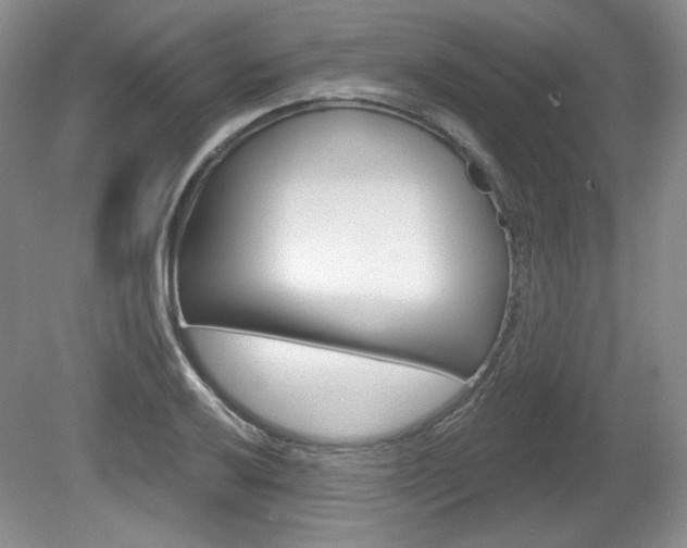 X0000080181032200612081128