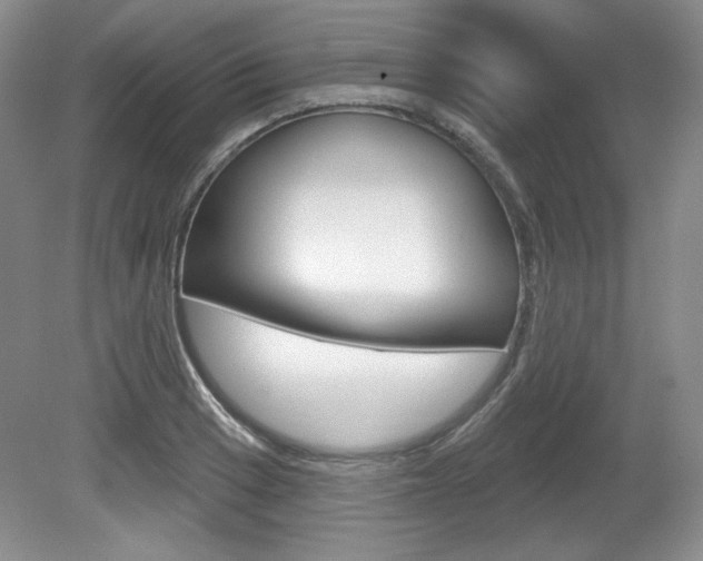 X0000080181033200612081128