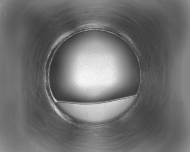 X0000080181034200612081128