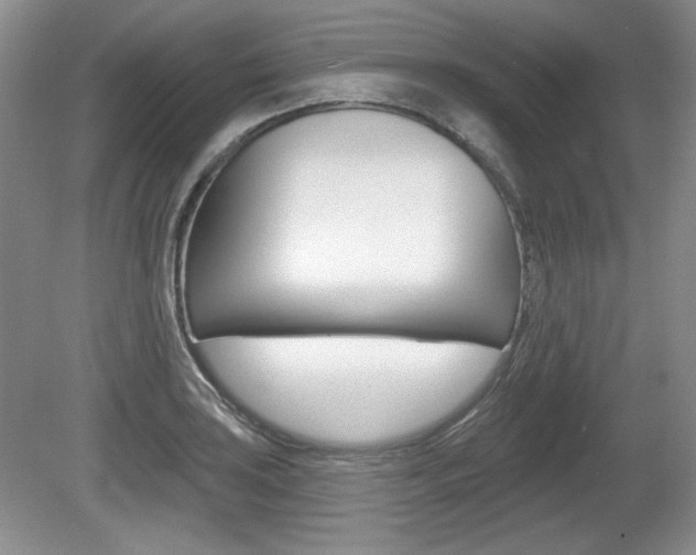 X0000080181035200612081128