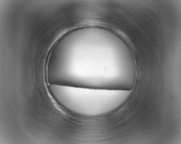 X0000080181039200612081128