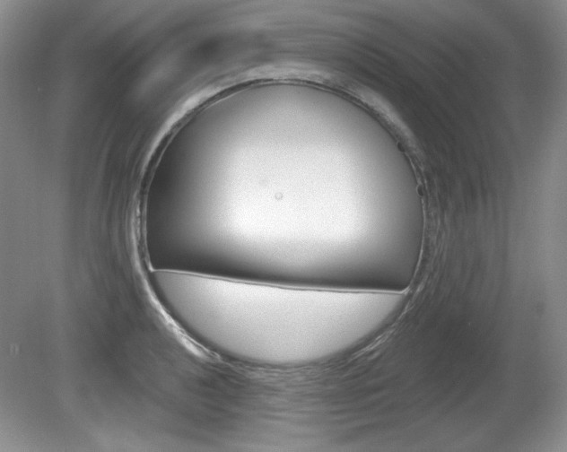 X0000080181040200612081129