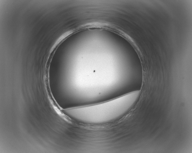 X0000080181042200612081129