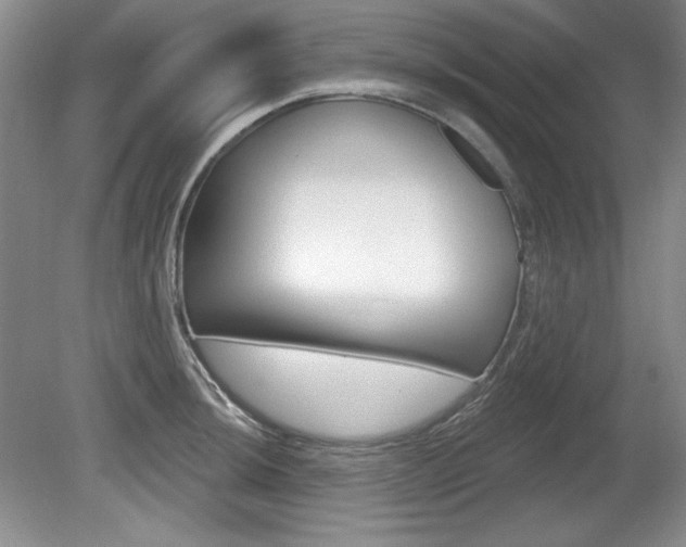 X0000080181044200612081129