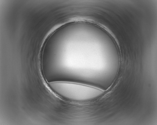 X0000080181045200612081129