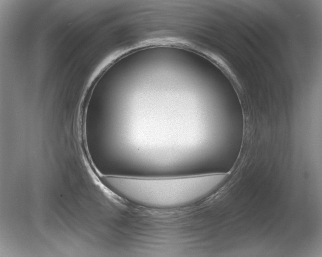 X0000080181046200612081129