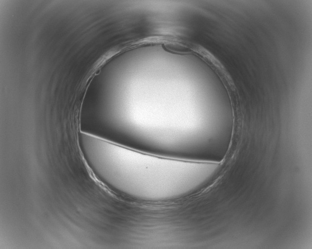 X0000080181049200612081129