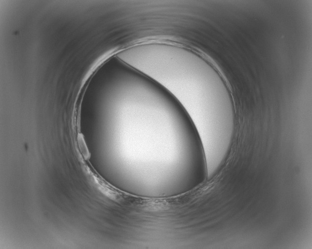 X0000080181050200612081129