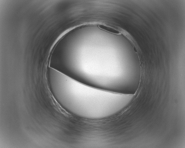 X0000080181052200612081129