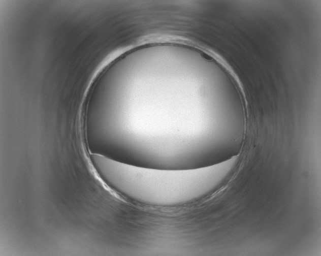 X0000080181053200612081129