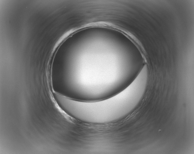 X0000080181054200612081129
