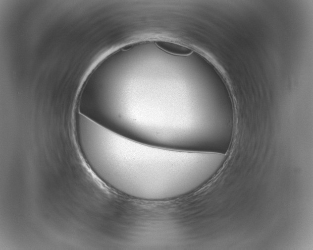 X0000080181056200612081129