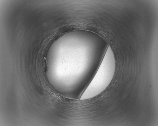 X0000080181057200612081128
