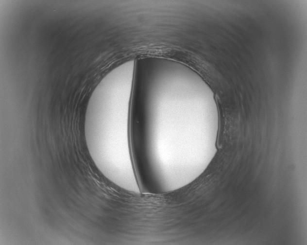 X0000080181058200612081128
