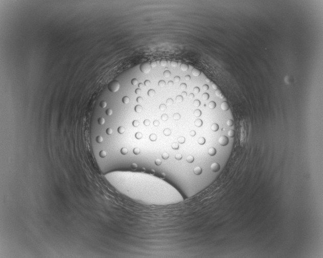 X0000080181059200612081128
