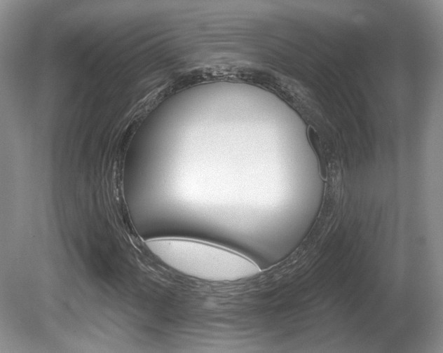 X0000080181060200612081128