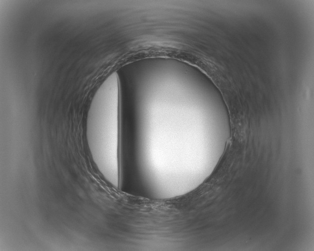 X0000080181061200612081128