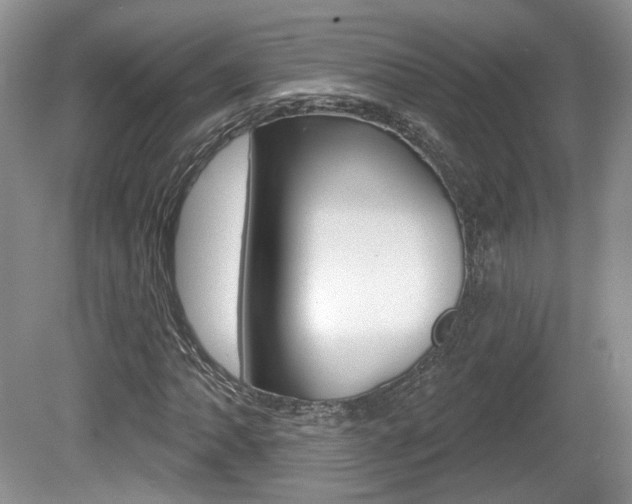 X0000080181062200612081128