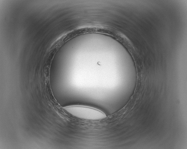X0000080181064200612081128