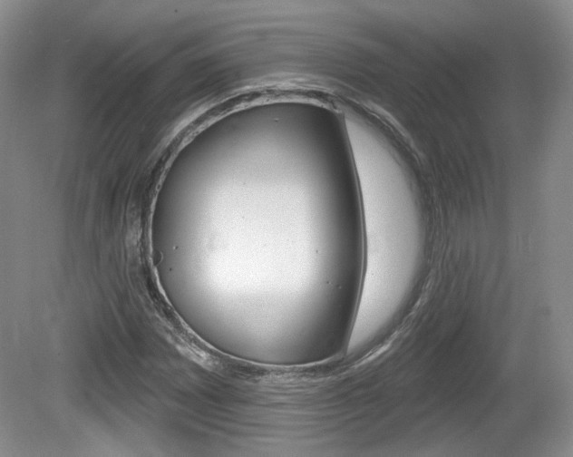 X0000080181065200612081128