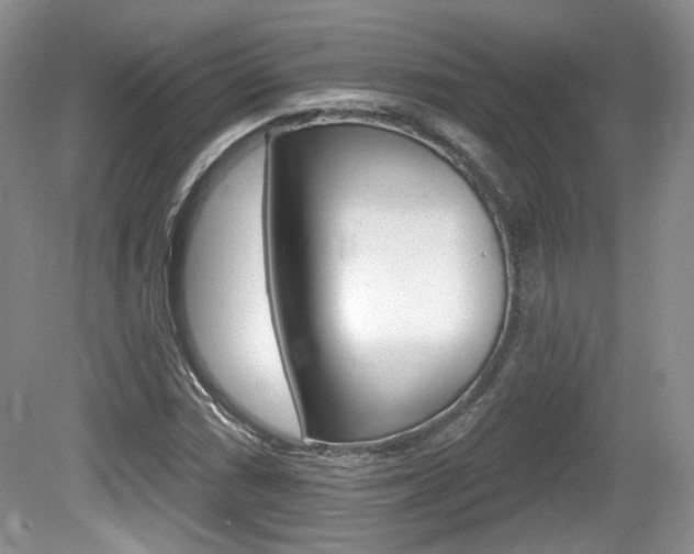 X0000080181066200612081128