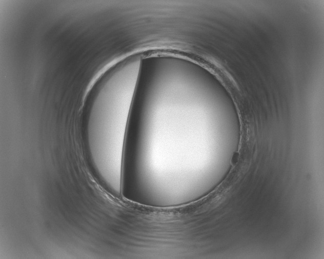X0000080181069200612081128
