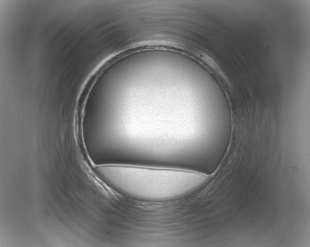 X0000080181076200612081128