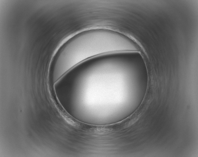 X0000080181077200612081128
