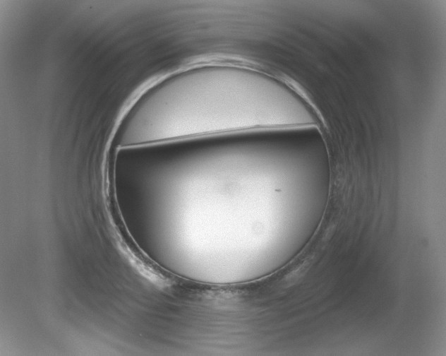 X0000080181082200612081128
