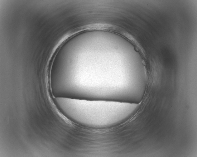 X0000080181083200612081128