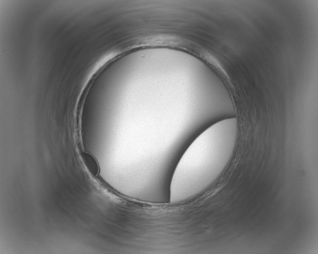 X0000080181087200612081127