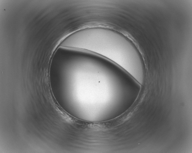 X0000080181089200612081127