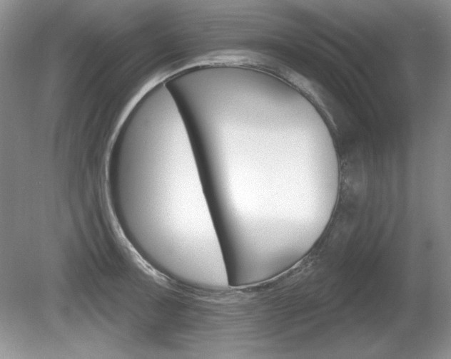 X0000080181091200612081127