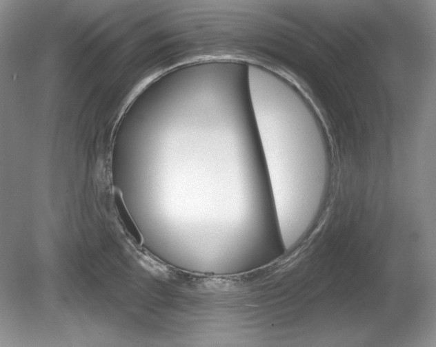 X0000080181097200612081127